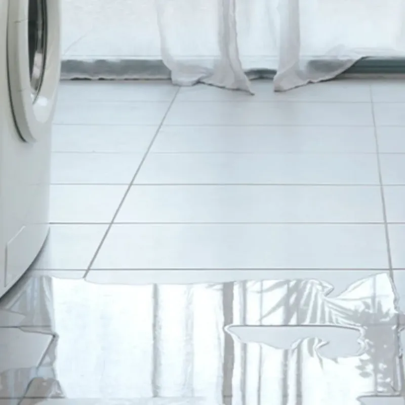 Appliance Leak Cleanup in Oak Park, IN