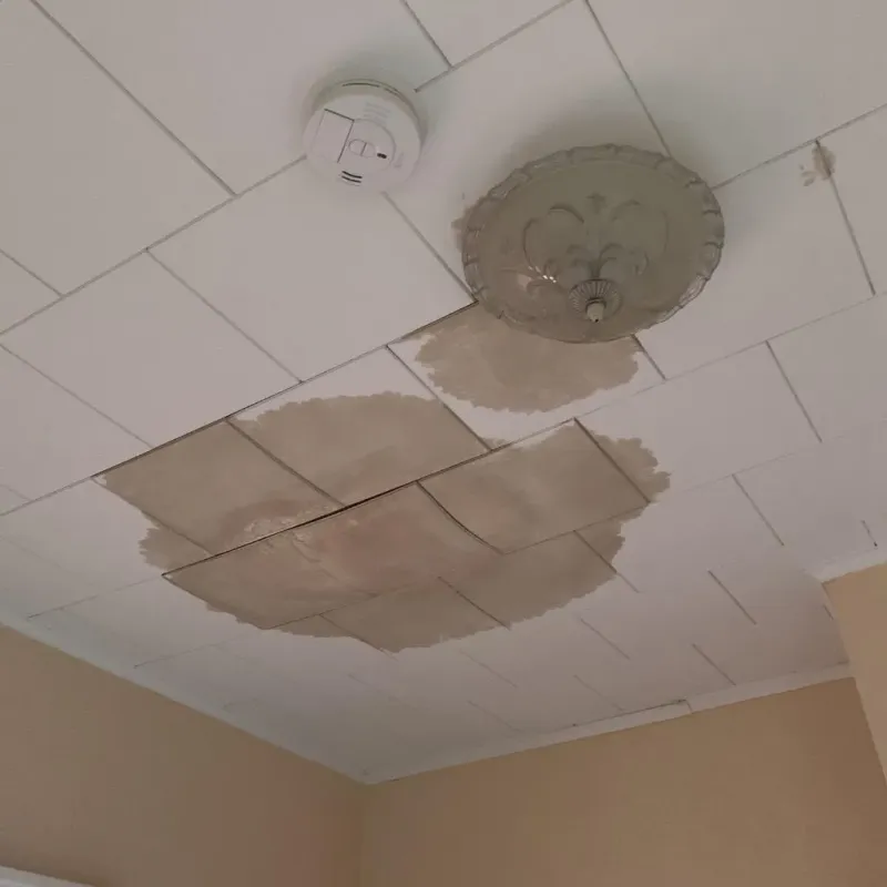 Ceiling Water Damage Repair in Oak Park, IN