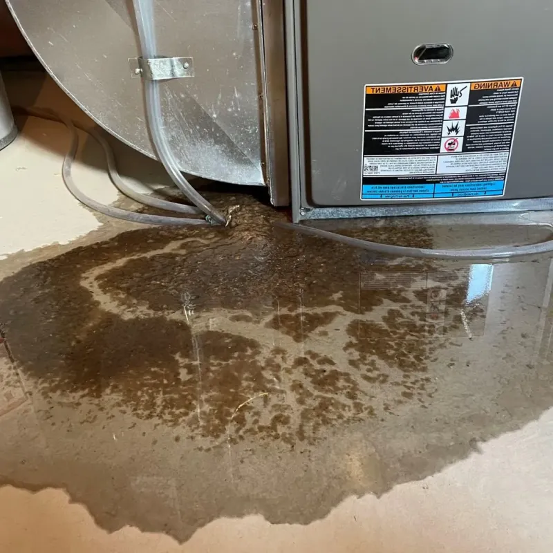 Pipe Burst and Leak Restoration in Oak Park, IN